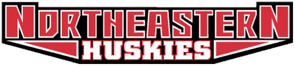 Northeastern Huskies 2001-2006 Wordmark Logo DIY iron on transfer (heat transfer)